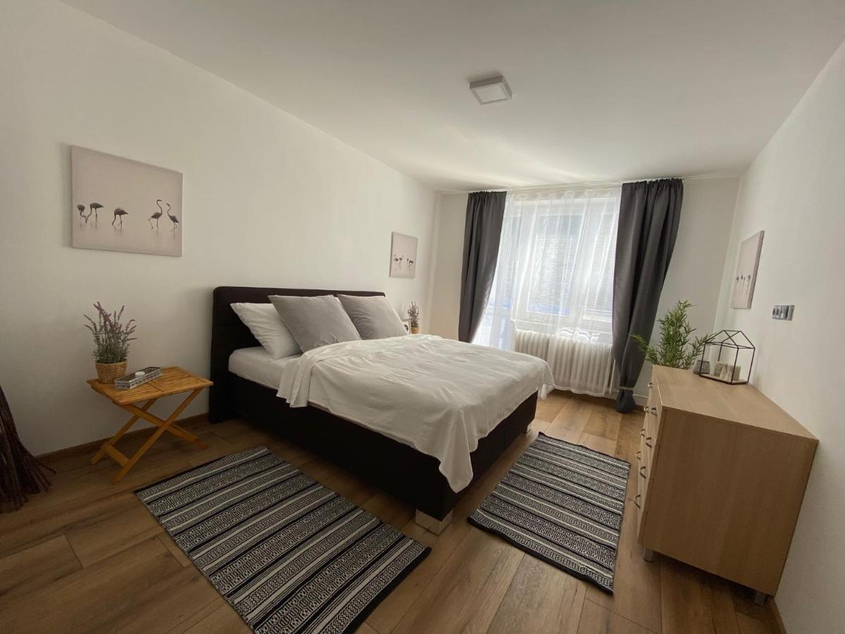 Sting Apartmany Тринец Екстериор снимка